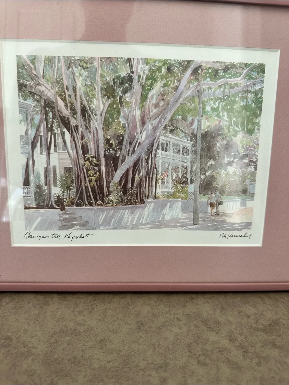 Pink Framed Mat Botanical Wall Art Robert E. Kennedy Iconic Banyan Tree Key West